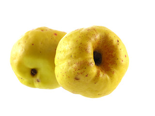 Image showing quince