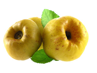 Image showing quince