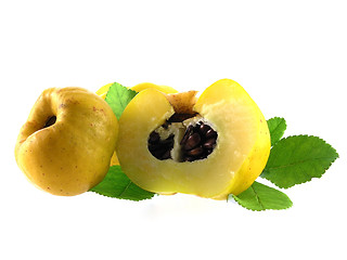 Image showing quince