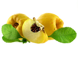 Image showing quince