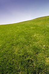 Image showing Blue sky and grass