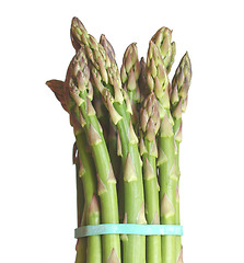 Image showing Asparagus