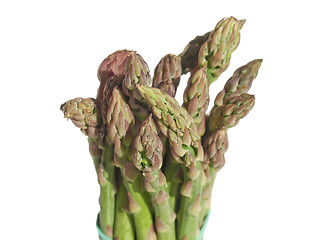 Image showing Asparagus