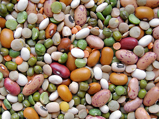 Image showing Beans salad