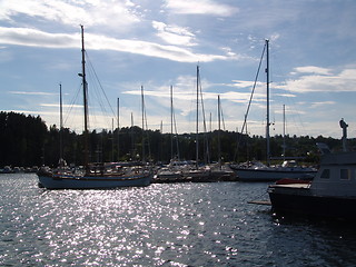 Image showing Sunny harbour