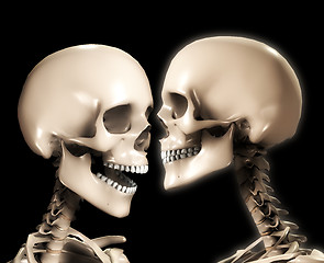 Image showing Two Skull Heads 