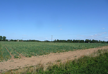 Image showing Farming Landscape