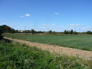 Image showing Farming Landscape