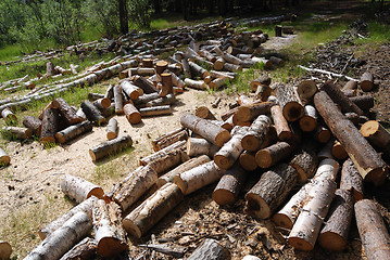 Image showing off cuts of wood