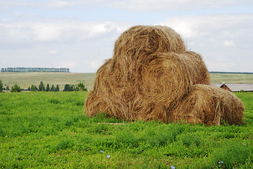 Image showing straw bales on farmland 