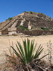 Image showing Monte Alban