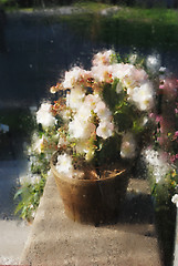 Image showing blurred image of flowers 