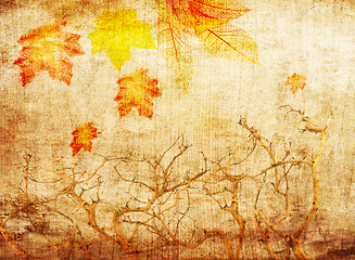 Image showing grunge abstract fall background 