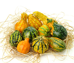 Image showing Gourds