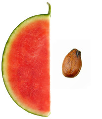 Image showing Cross section of watermelon 