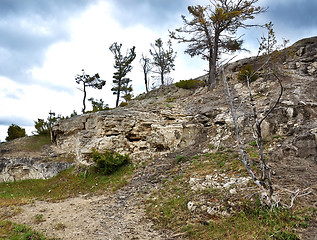 Image showing rocks and trees