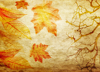 Image showing grunge abstract fall background
