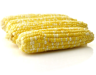 Image showing fresh raw corn 