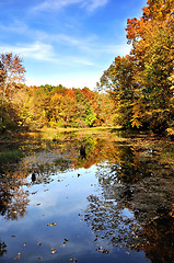 Image showing autumn forest by the lake