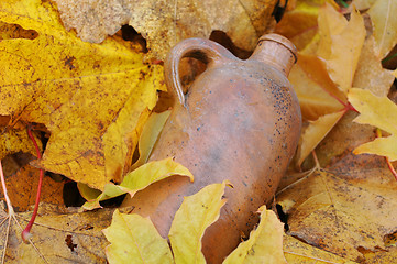 Image showing Vintage Bottle and Fallen Maple Leaves