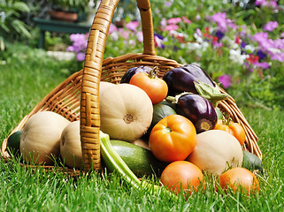 Image showing fresh vegetables