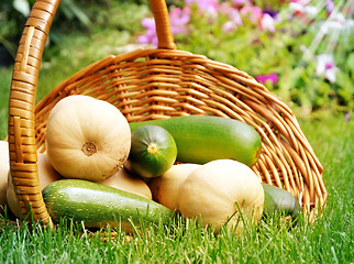 Image showing fresh vegetables