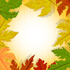 Image showing Forest leaves frame