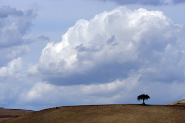 Image showing Panoramic view of the hills of Gargano, Apulia,  Italy