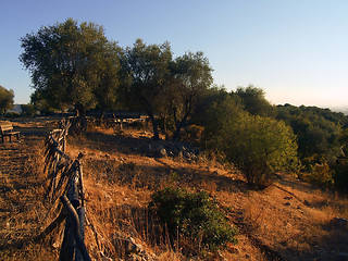 Image showing Panoramic view of the hills of Gargano, Apulia,  Italy