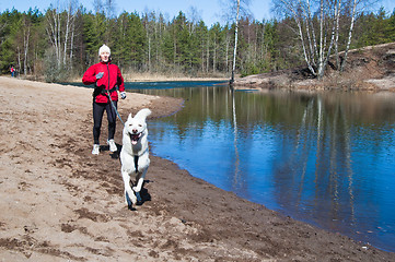 Image showing Running the sports woman with a dog