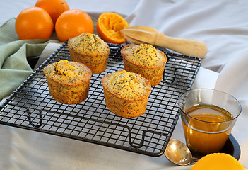 Image showing Orange And Poppyseed Cakes 