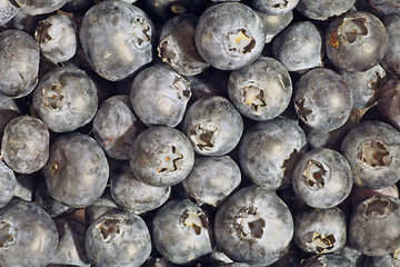 Image showing blueberry background