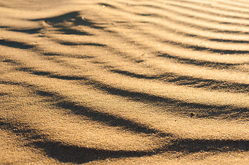 Image showing Wavy dune texture