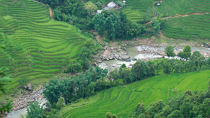 Image showing Rice terraces and river in Sapa Valley