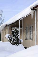 Image showing after snowfall