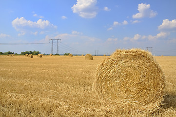 Image showing haystack