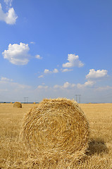 Image showing haystack