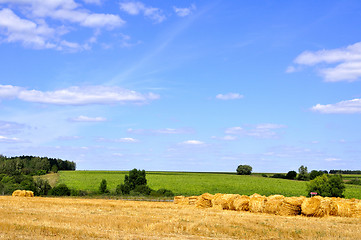 Image showing summer landscape