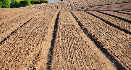 Image showing Field in the spring.