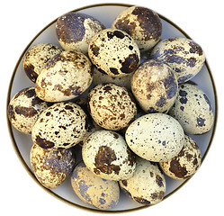 Image showing quail eggs