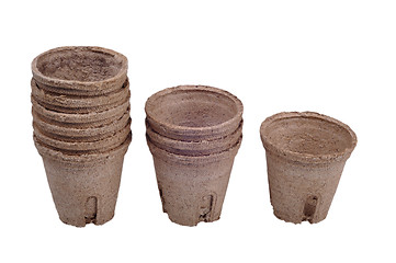 Image showing peat pot for seedlings