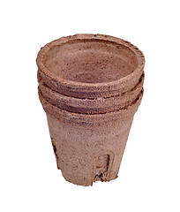 Image showing peat pot for seedlings