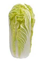 Image showing Chinese cabbage