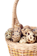 Image showing eggs in the basket