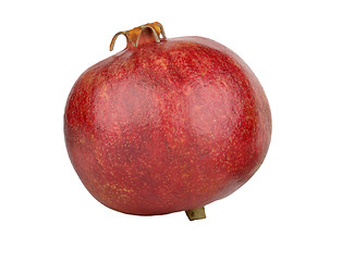 Image showing ripe pomegranate