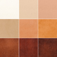 Image showing samples of genuine leather