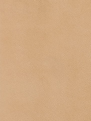 Image showing leather