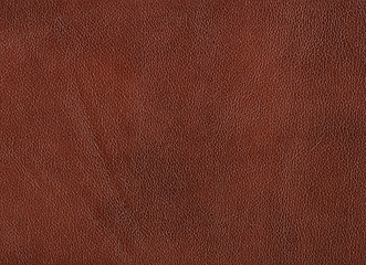 Image showing Leather background