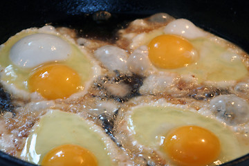 Image showing Frying eggs