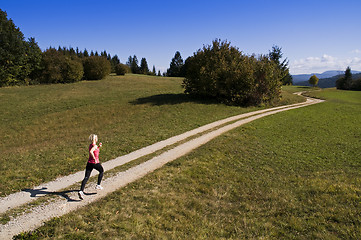 Image showing Running